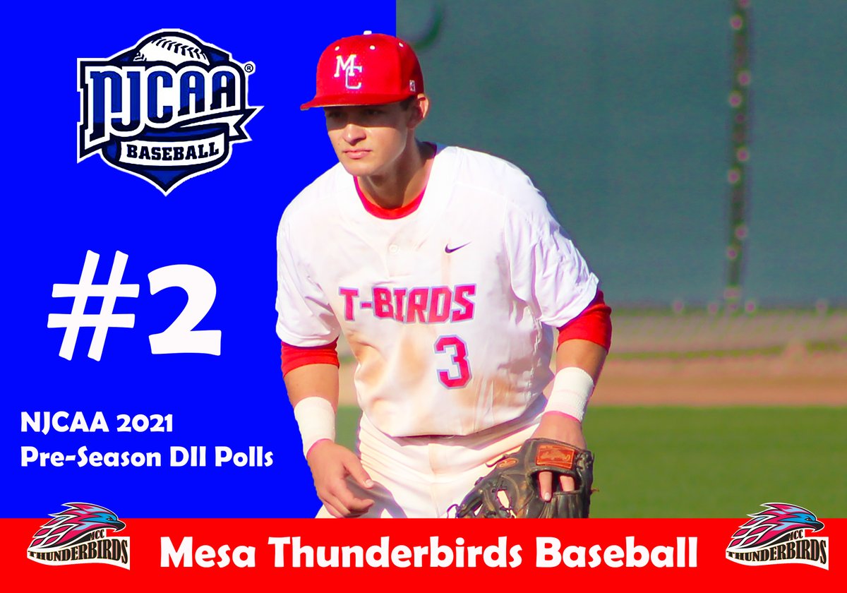 Mesa Thunderbirds Athletics tweet media