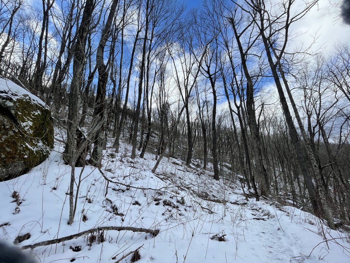 getoutside's tweet image. Coosa Backcountry Snow #hike #georgia