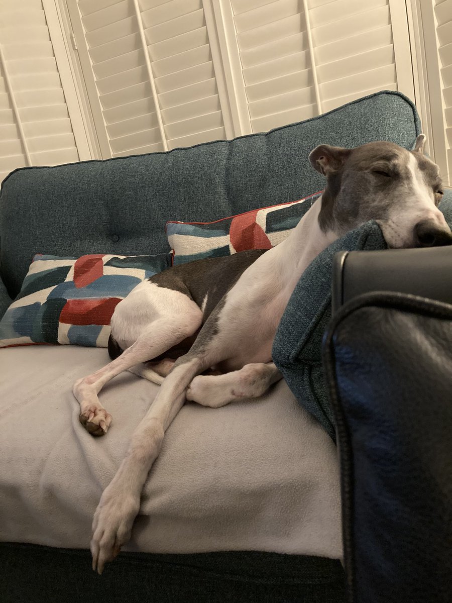 My mum is 50 today 🥳 ... it’s been exhausting licking icing off plates 🥳