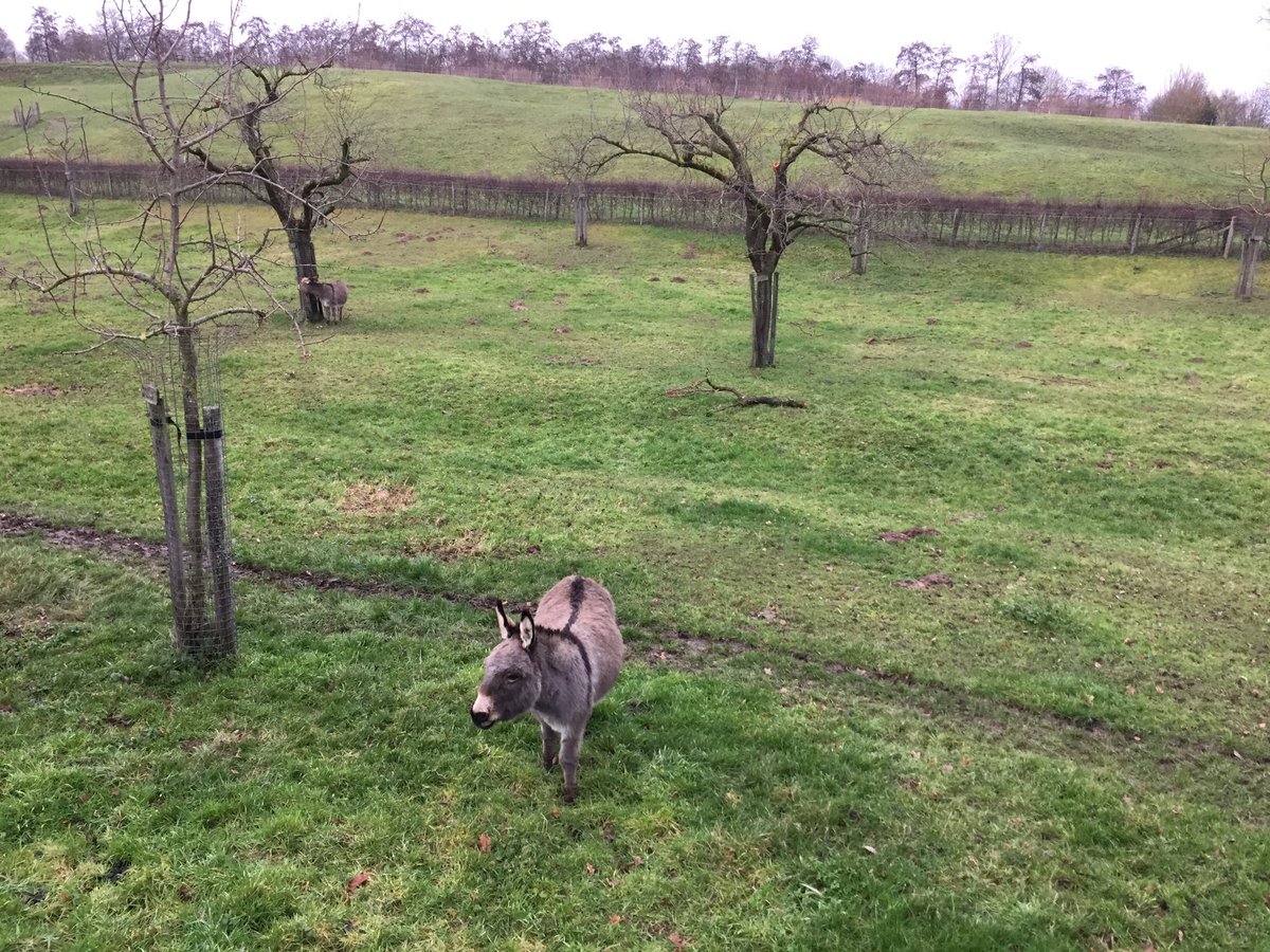 Ik wens jullie allemaal een fijne avond: groeten uit het #Geleenbeekdal #Wolfhagen #Schinnen #Beekdaelen