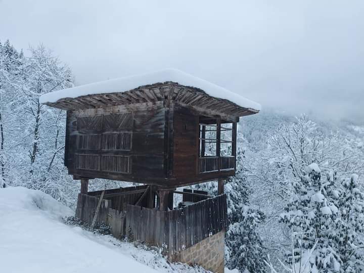 Rize/Çayeli Senoz Vadisi bugün bir kez daha beyaza bürünmüş.
Kar yağışı kartpostallık görüntüler oluşturmuş yine.