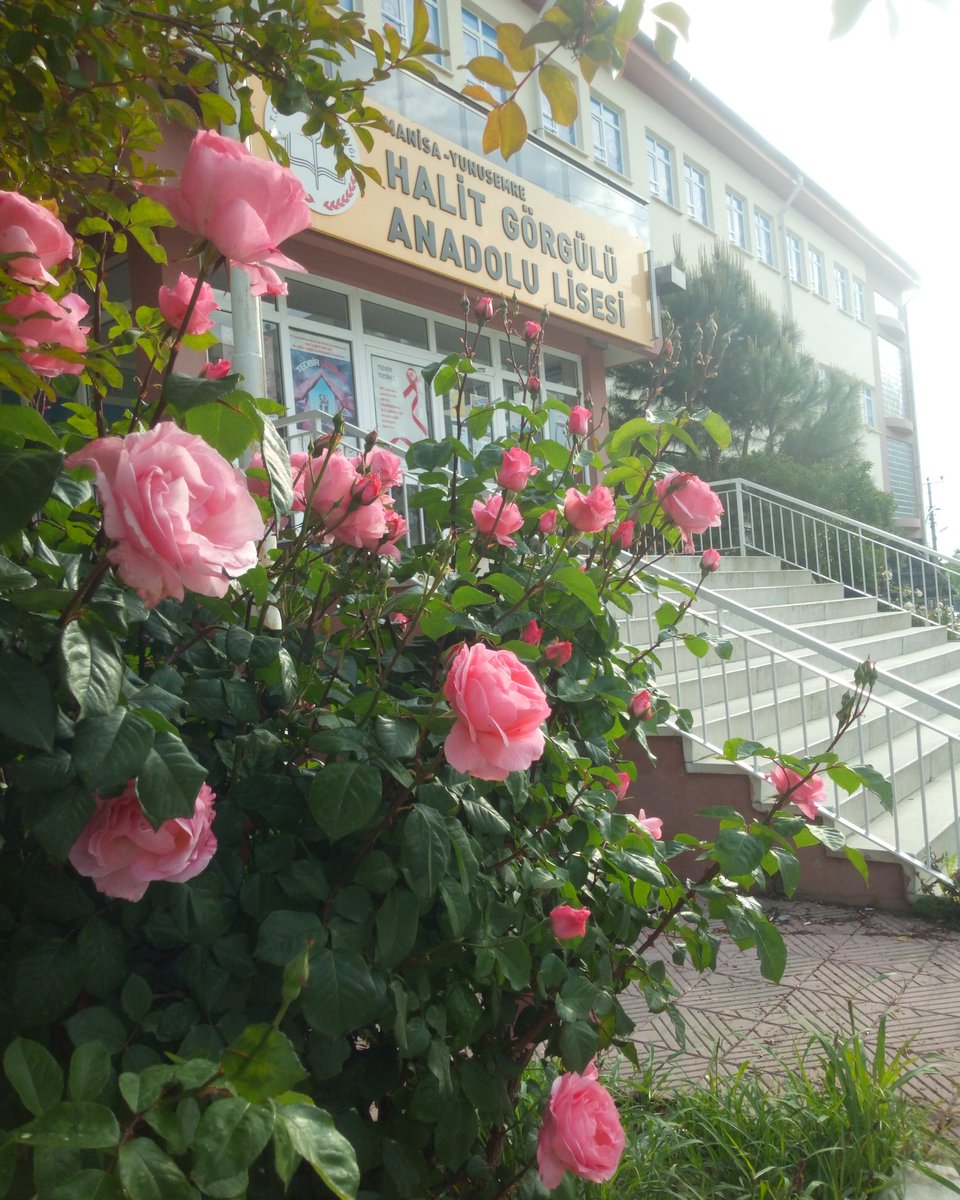 #yunusemredeeğitim <a href="/Nazl04209363/">Nazlı</a> <a href="/yunusemre_mem/">Yunusemre İlçe Milli Eğitim Müdürlüğü</a> <a href="/RayDemirtas/">Yıldıray Demirtaş</a> <a href="/mdikici45/">Mustafa Dikici</a> <a href="/RamazanErkul19/">Ramazan Erkul</a>