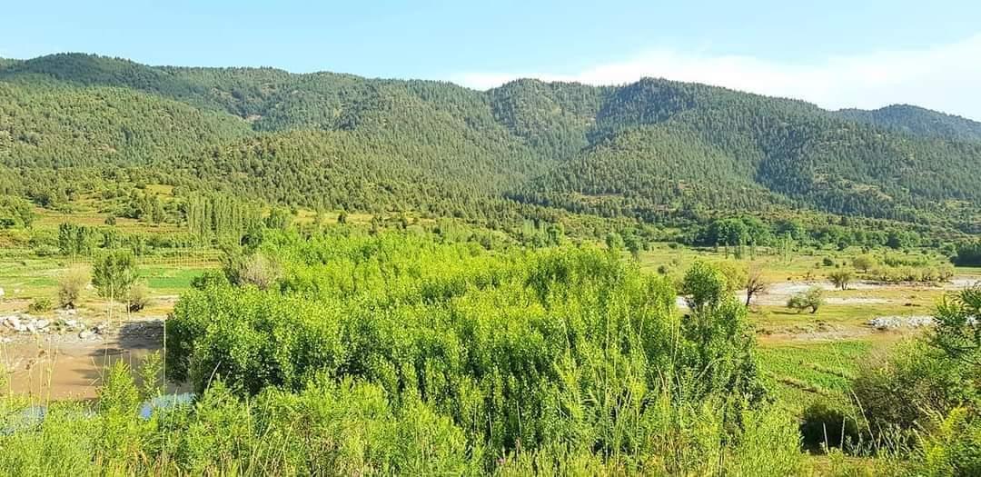 sarwarzohair's tweet photo. Our Swistia (Swiszulend+Paktia)
#Afghanistan
#Paktia
#ARYOB https://t.co/jUyK8J8ug1