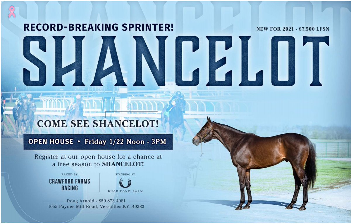 theTDN's tweet photo. Come see record-breaking sprinter Shancelot at the @BuckPondFarm open house on Friday from noon to 3pm.
https://t.co/yiIkuuDegG https://t.co/EFB1QWqOhD