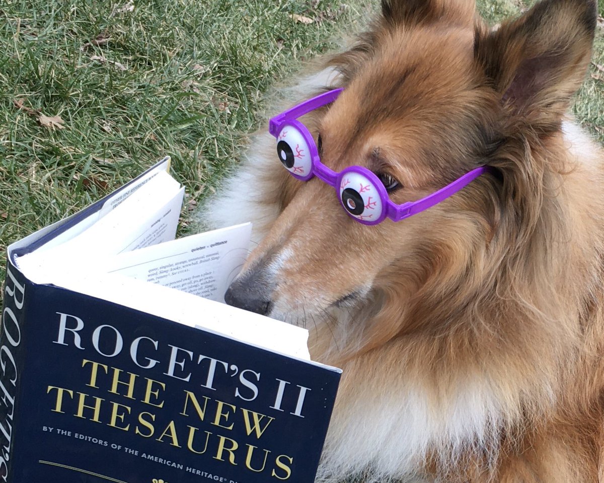 CollieCrusader's tweet photo. 🤓📚 Who’s your favorite 😻 #wordsmith ?
Apologies for postponing
(😉 synonyms: delay, lag) the posting of this celebration of 📖 #NationalThesaurusDay but I was otherwise occupied.
📚🤓📚
#thesaurus #rogetsthesaurus #rogets #synonyms #roughcollie #smartdogbreeds #collie https://t.co/iocClwXw8R