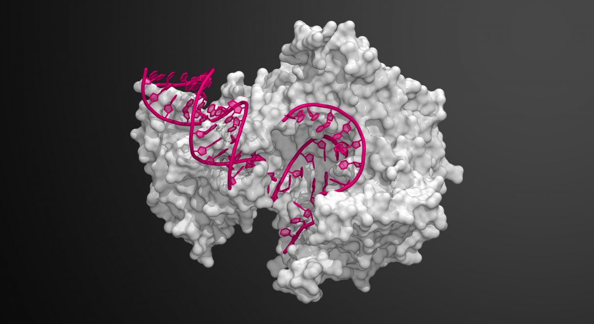 LBTA_Biotech's tweet photo. Lithuanian startup company Biomatter Designs raises €500k to develop AI for Generative Protein Design. Read more: https://t.co/L1wDUs9CbC https://t.co/bdGYWvh3fH