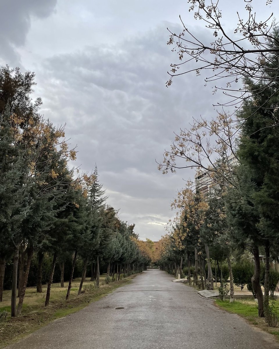 There is rain even little drizzling so in a moment everything can go and treat us with its beauty. Photo Credit @AyaBalisanyy #Erbil #VisitErbil #AfterRain #SamiAbdulRahmanPark #ErbilParks #اربيل #هەولێر