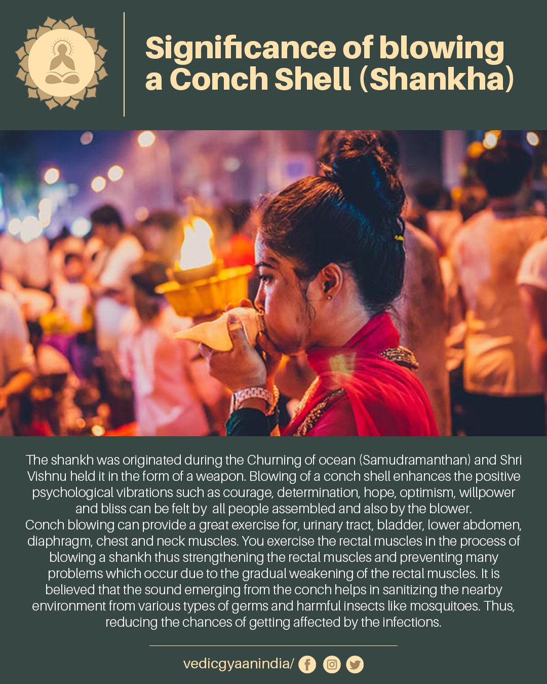 Conch Symbolism Quotes