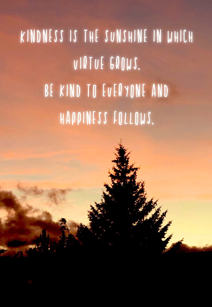 LisaGrigsby2942's tweet photo. Kindness is the sunshine of life. #dailydose #dailyaffirmation #kindness #happiness #love #sunshineoflife https://t.co/O7MMoE1KQG