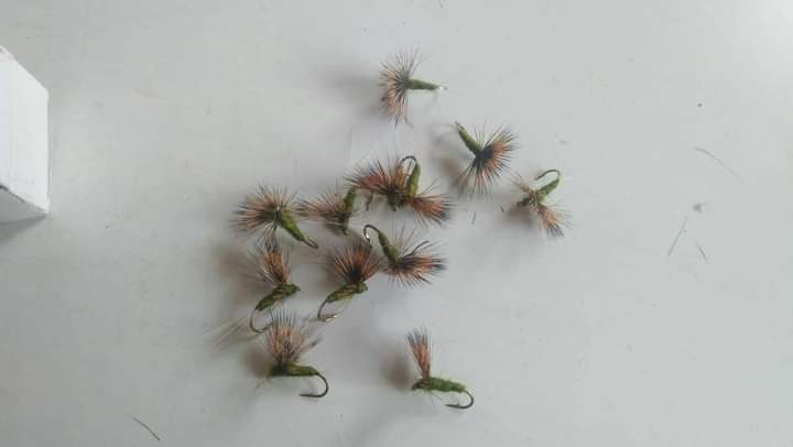 Jasan Mungai(Jams fishing flies supplier) (@jasan_mungai) on Twitter photo All drys @ $3.40 per dozen
Email mungaijasan@gmail.com
#troutfishing
#flyshops
#fliesforsale All drys @ $3.40 per dozen
Email mungaijasan@gmail.com
#troutfishing
#flyshops
#fliesforsale