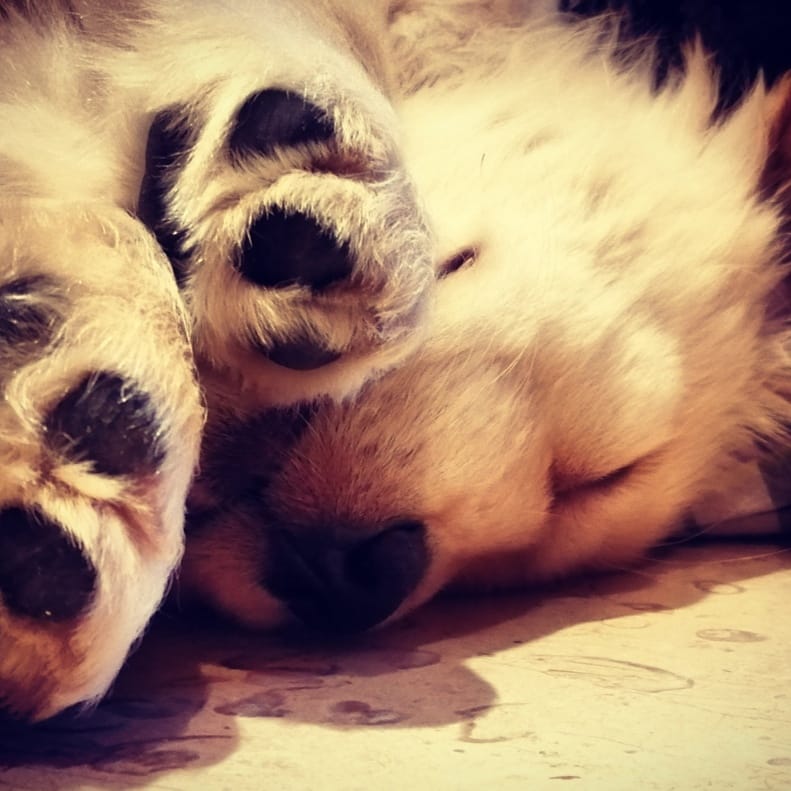 #BuenosDiasATodos #FelizMartesATodos