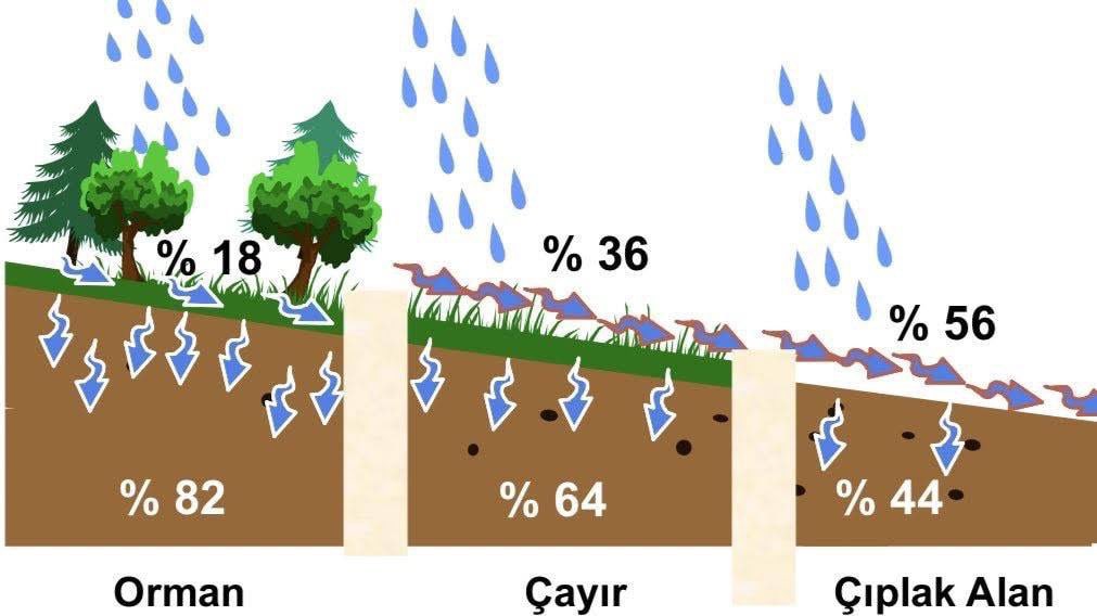 Orman Mühendisi Prof. Dr. Nihat BALCI tarafından 1956 yılında gerçekleştirilen bir araştırmanın sonucudur.

Bu fotoğraf bize diyor ki; Toprak ve ağaç tabiatın iki önemli öğesidir. Biri besler ve doyurur; diğeri onu süsler ve korur.