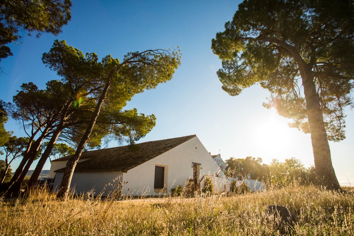 RutaVinoUtielRequena tweet media