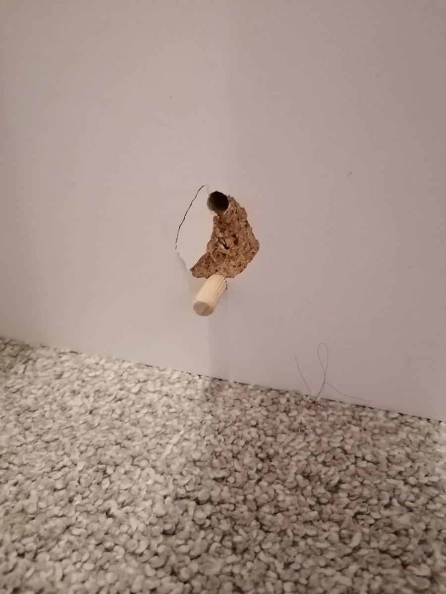 maddyroff's tweet photo. @IKEAUKSupport Built the Hemnes daybed but it was missing a slat, two locking nuts and when moving the pull out part of the bed the main frame broke off from the wheels (see photos). Are you able to provide replacement parts please? https://t.co/kkU27S5Exc