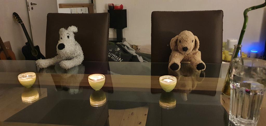 LDude92's tweet photo. The diner guests arived. In our new appartment @ScruffyDK1986 🐶🐶🐶🐶😍😍 https://t.co/WwhETWgYGk