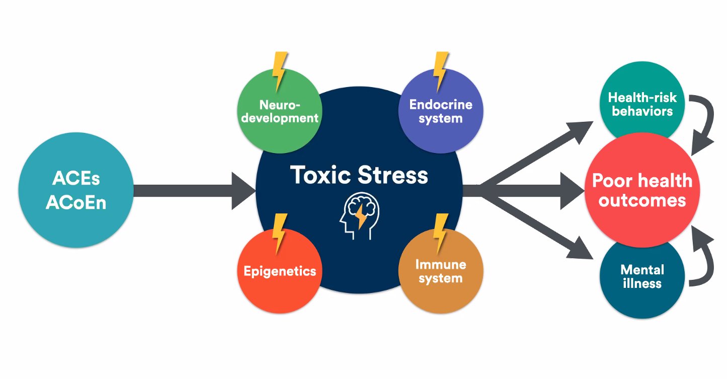 What is toxic stress?