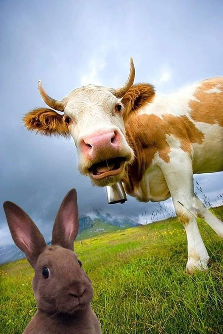 Günaydın diyemiyorum iyi akşamlar diyeyim bari👍🌙