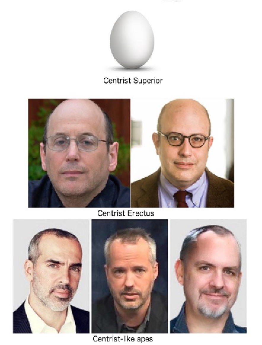 images from the archives