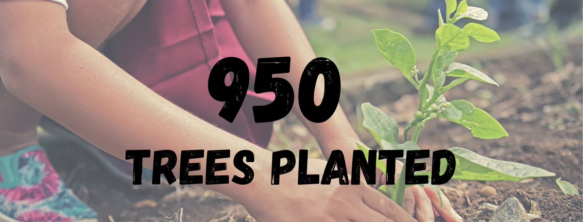 ImpactKarma tweet media