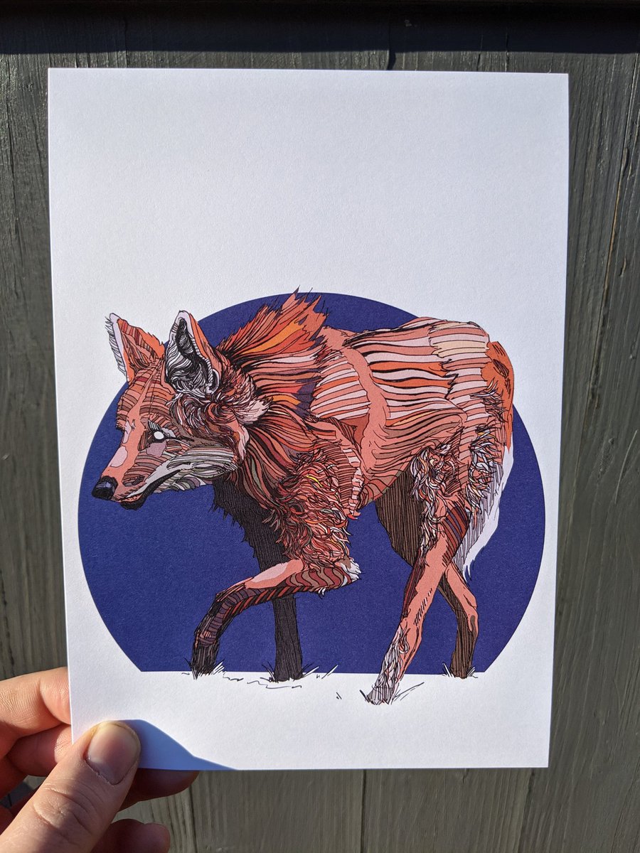 HadokenAlex's tweet image. I now have A5 prints on my Etsy store!
There's free delivery in the UK!
A5 prints are £5 and A3 prints are £15

etsy.com/shop/AlexLacey…