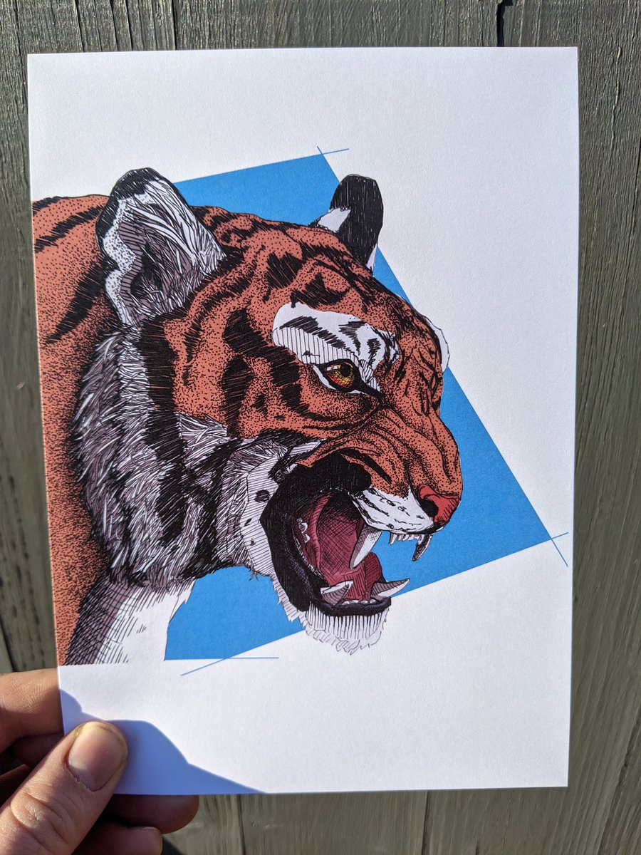 HadokenAlex's tweet image. I now have A5 prints on my Etsy store!
There's free delivery in the UK!
A5 prints are £5 and A3 prints are £15

etsy.com/shop/AlexLacey…