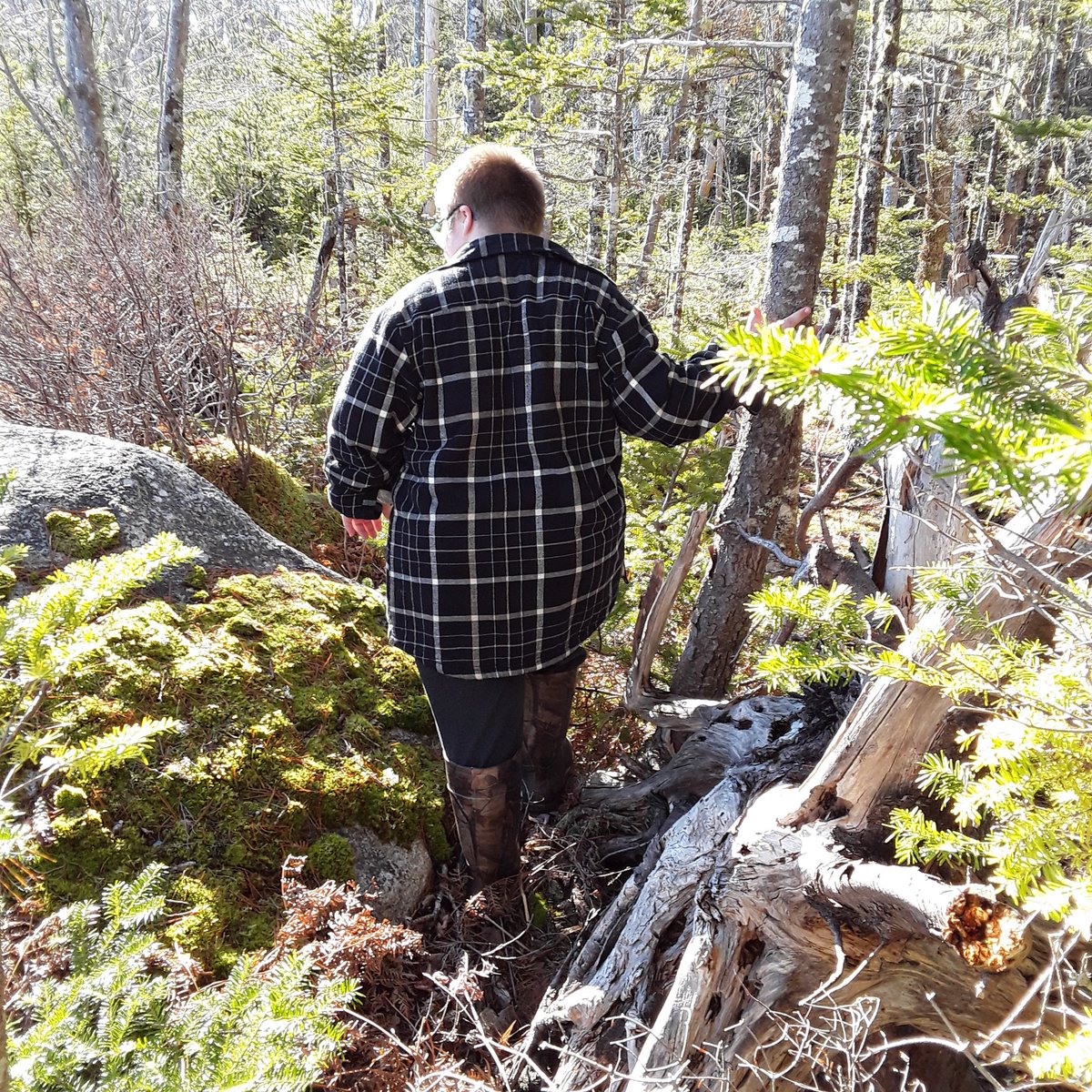 SRHSRebels's tweet photo. Out doing trail maintenance, bushwacking, and resting on a beautiful January day. #watchuslearn @TCRCE_NS https://t.co/lMNhrXsAz6