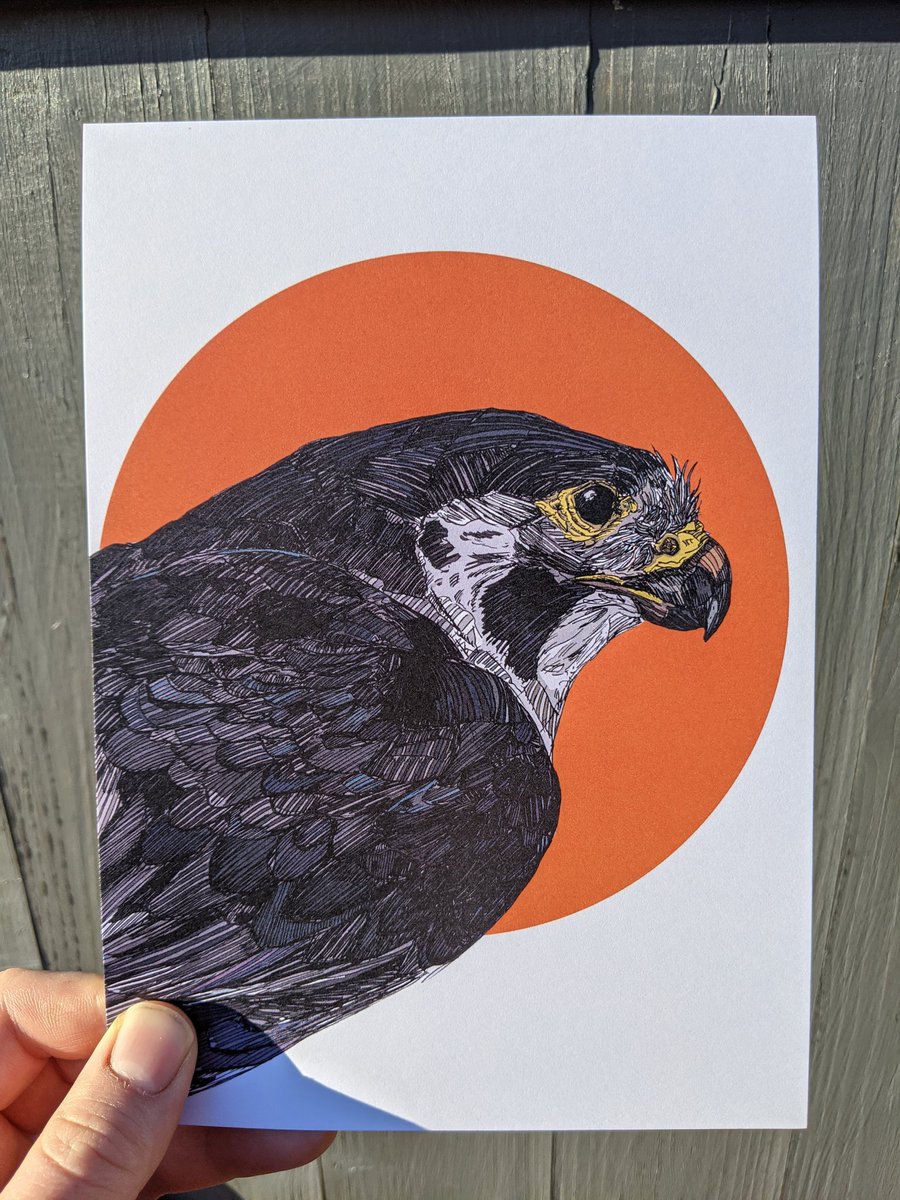 HadokenAlex's tweet image. I now have A5 prints on my Etsy store!
There's free delivery in the UK!
A5 prints are £5 and A3 prints are £15

etsy.com/shop/AlexLacey…