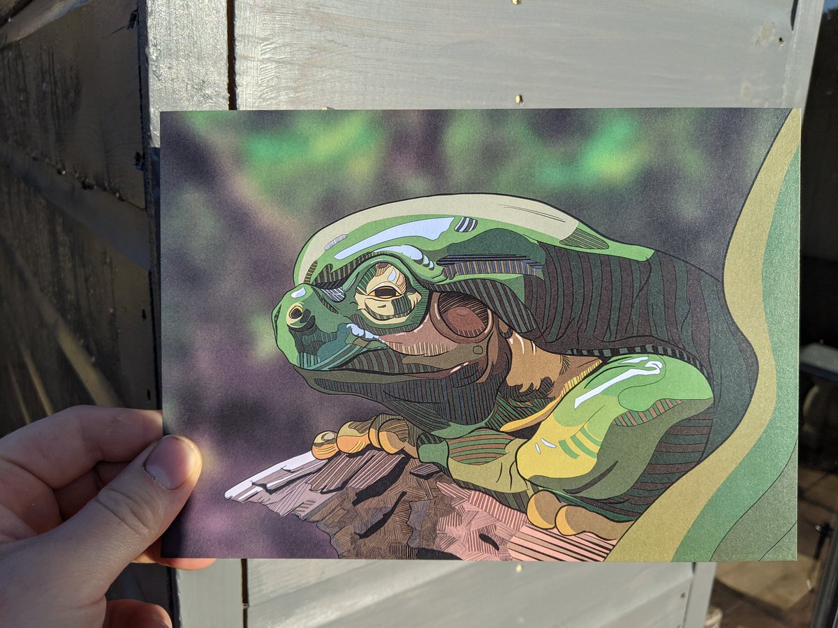 HadokenAlex's tweet image. I now have A5 prints on my Etsy store!
There's free delivery in the UK!
A5 prints are £5 and A3 prints are £15

etsy.com/shop/AlexLacey…