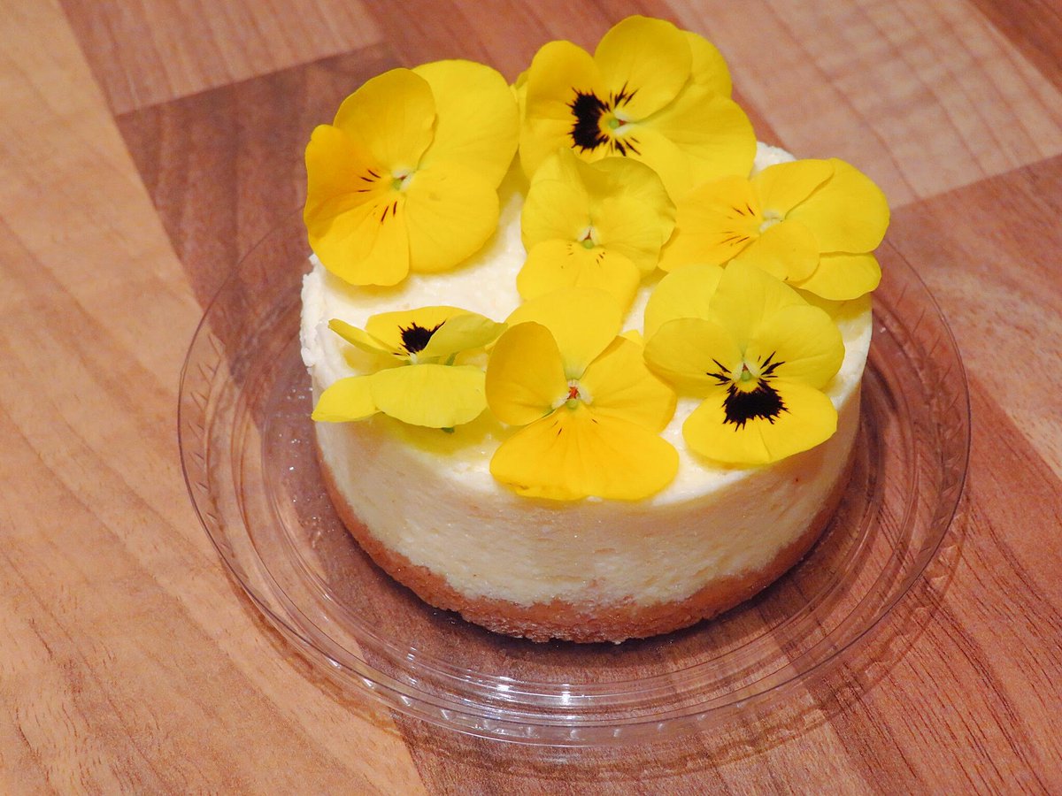 Cheesecake met viooltjes van #BienSoigné (een van de #smaakmeesters2020). Het stukje #cheesecake smaakte heerlijk zurig en had een lekker zoete koekjesbodem (#recensie wp.me/p9pCeC-sZ). #plattekaastaart #kwarktaart #viooltjes #steundehoreca #lockdownbelgium #foodcritic