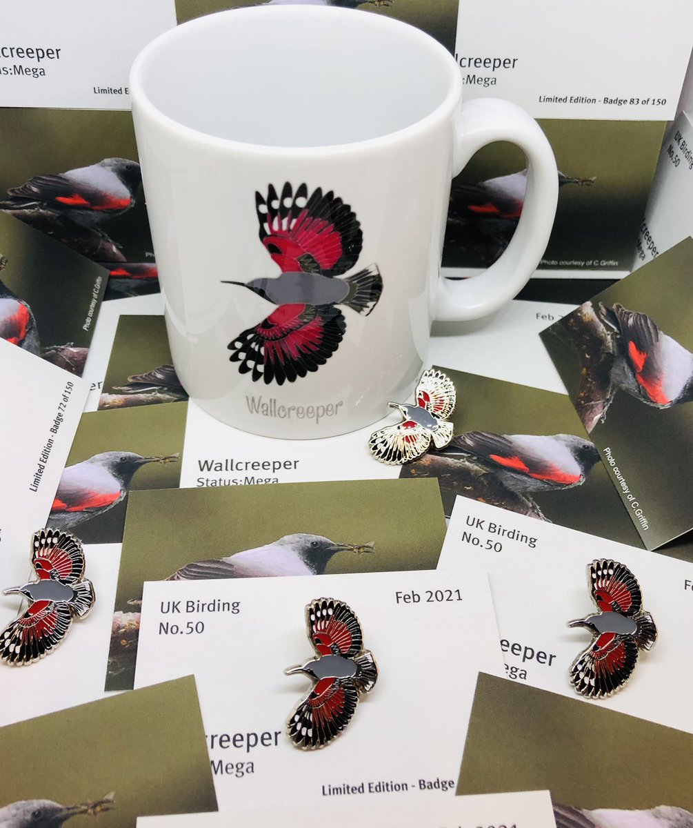 UKbirdingpins 💙 tweet media