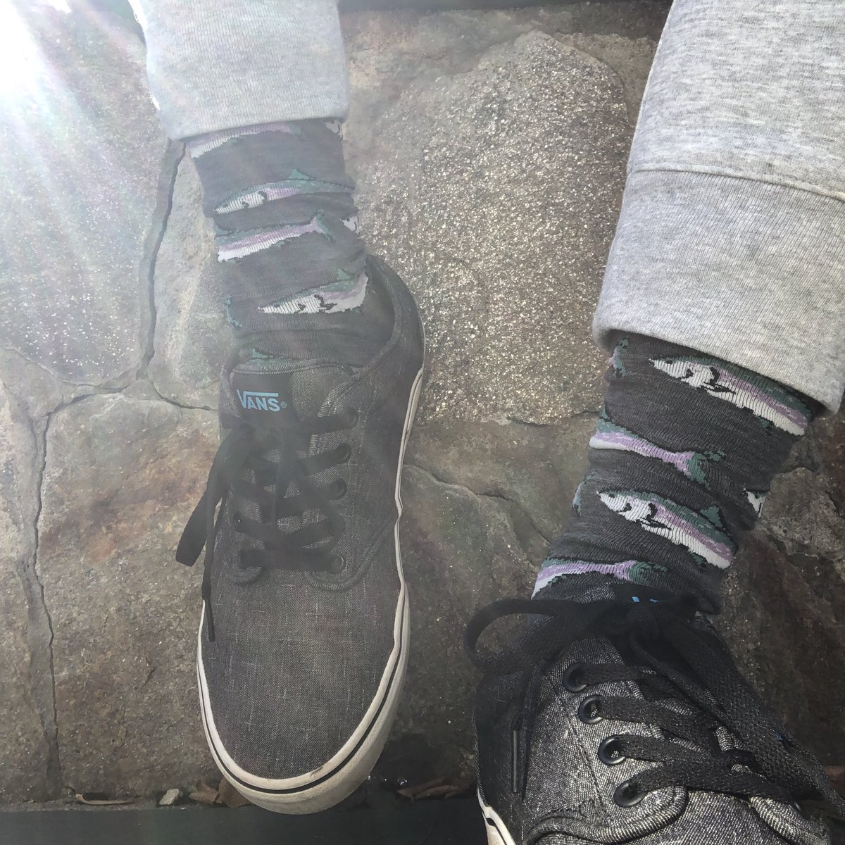 HuntingFeet's tweet photo. Now streaming. Wildly comfortable socks at hunting feet socks dot com. Reel in the freshness. #wildsocks https://t.co/n9HtThowpv
