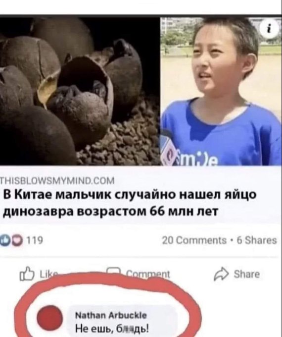 Хантавирус обнаружили на Львовщине - Цензор.НЕТ 8899