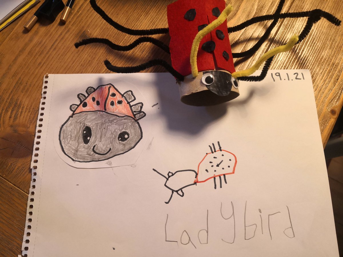 Lisa Savage tweet media