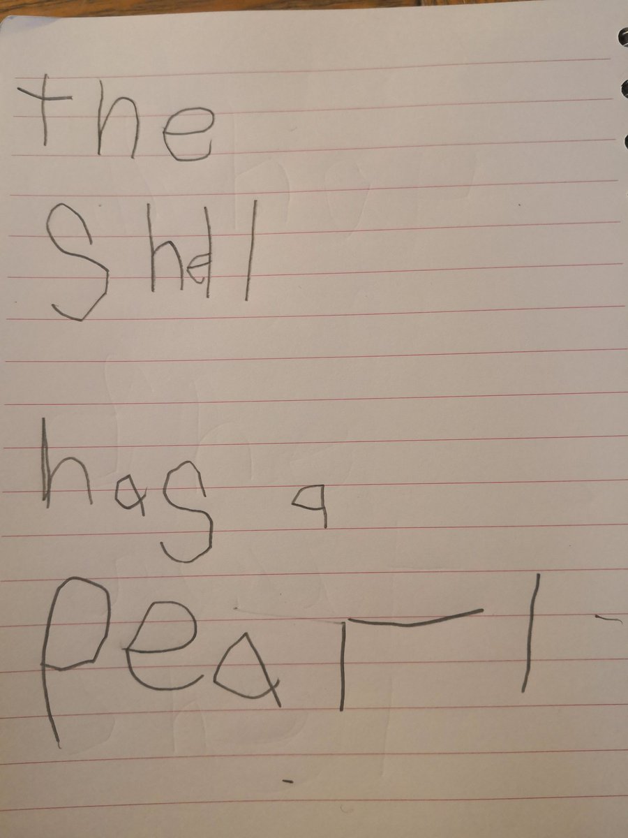 Lisa Savage tweet media