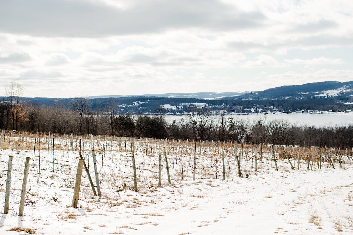 Keuka Lake Wine Trail tweet media