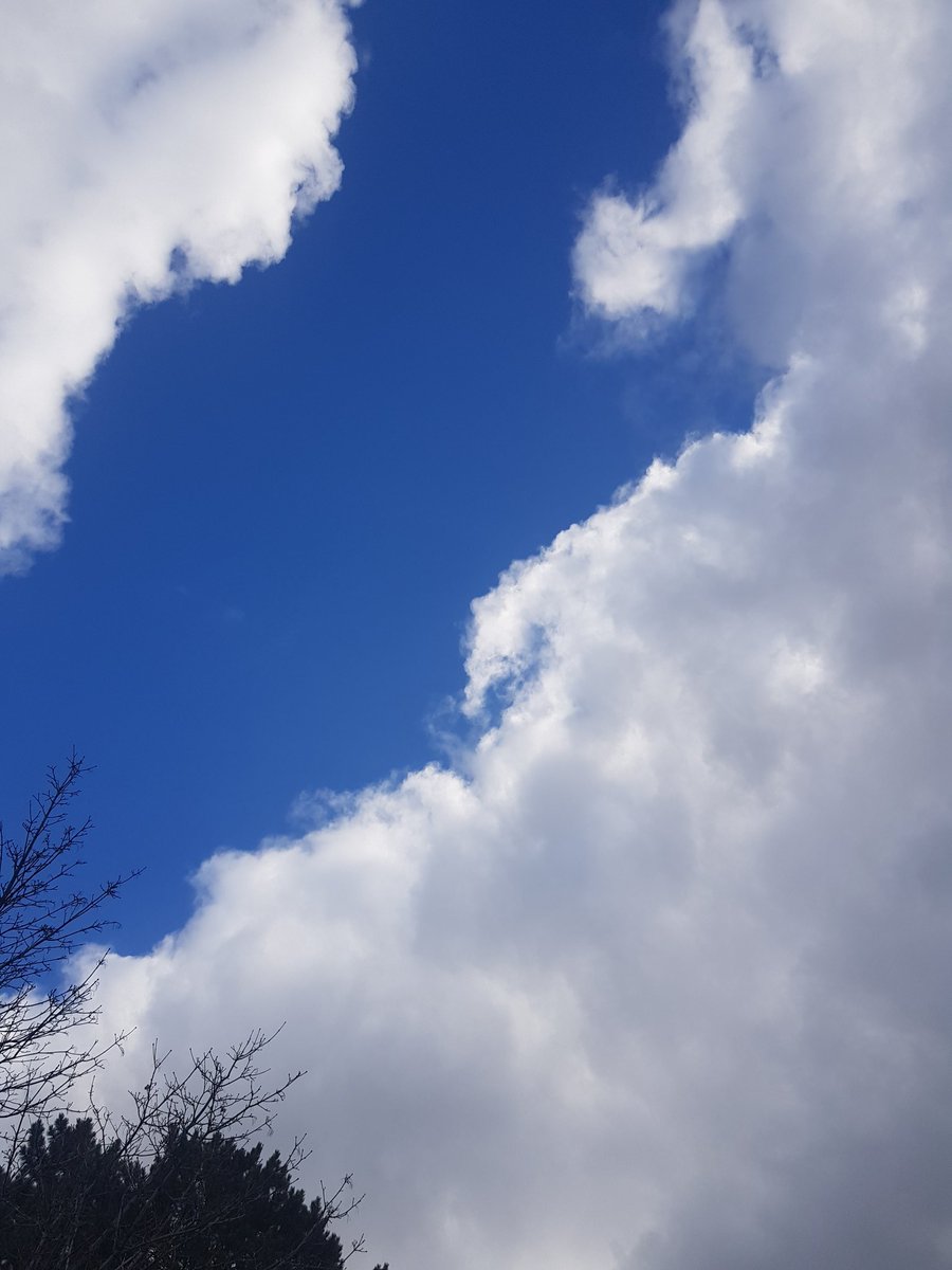 AnumAJamal's tweet photo. Some beautiful dramatic skies in #Toronto. Sharing some pictures which I just took during the "Mid-day Mid-work Break" walk.
#unedited #Tuesday #FitnessMotivation #2021Resolution #StaySafe https://t.co/XGxvGa1Ott