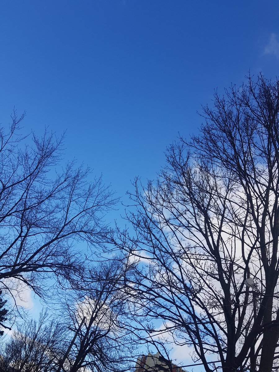 AnumAJamal's tweet photo. Some beautiful dramatic skies in #Toronto. Sharing some pictures which I just took during the "Mid-day Mid-work Break" walk.
#unedited #Tuesday #FitnessMotivation #2021Resolution #StaySafe https://t.co/XGxvGa1Ott