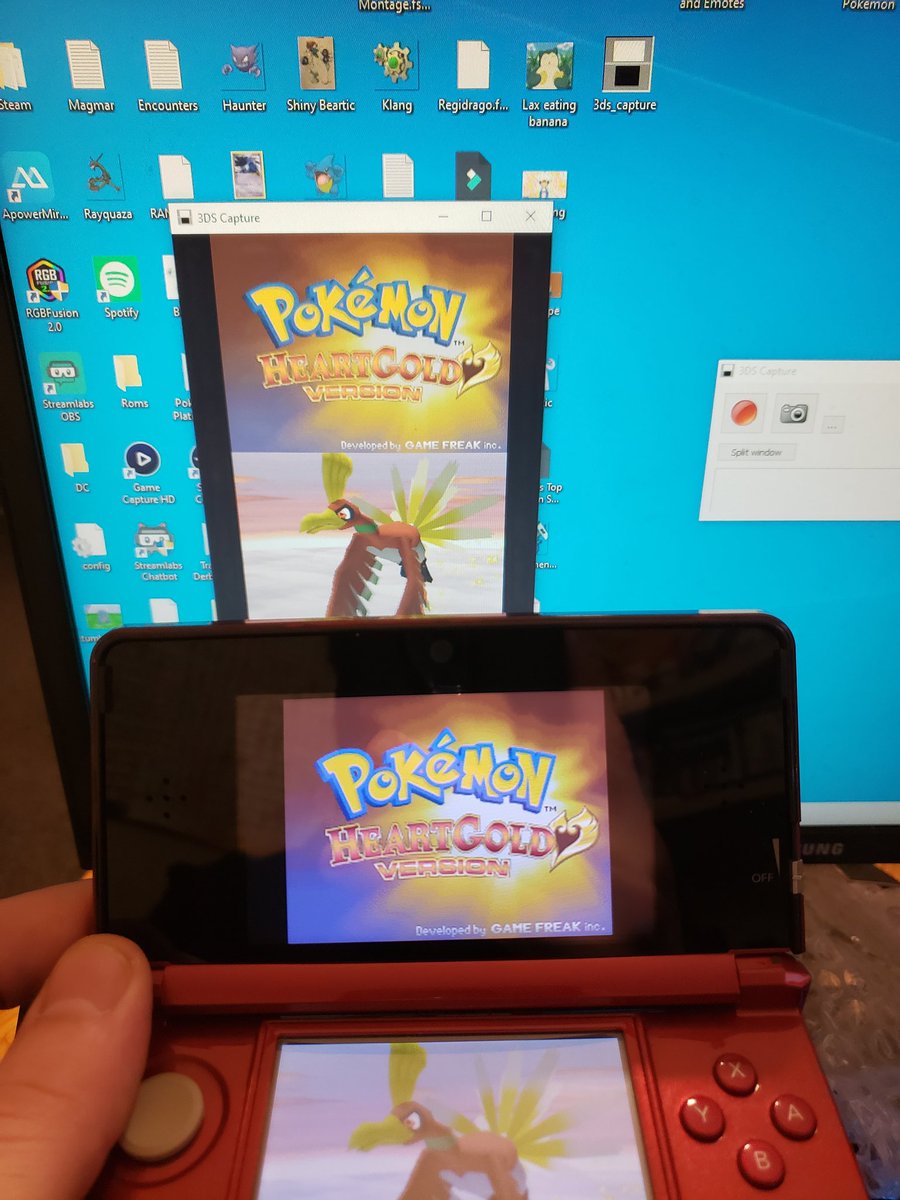 Derbearian's tweet photo. *High pitch SCREEEEEEEECH*
#PokemonHeartgold #3dsCapture https://t.co/ubNXocpbdD