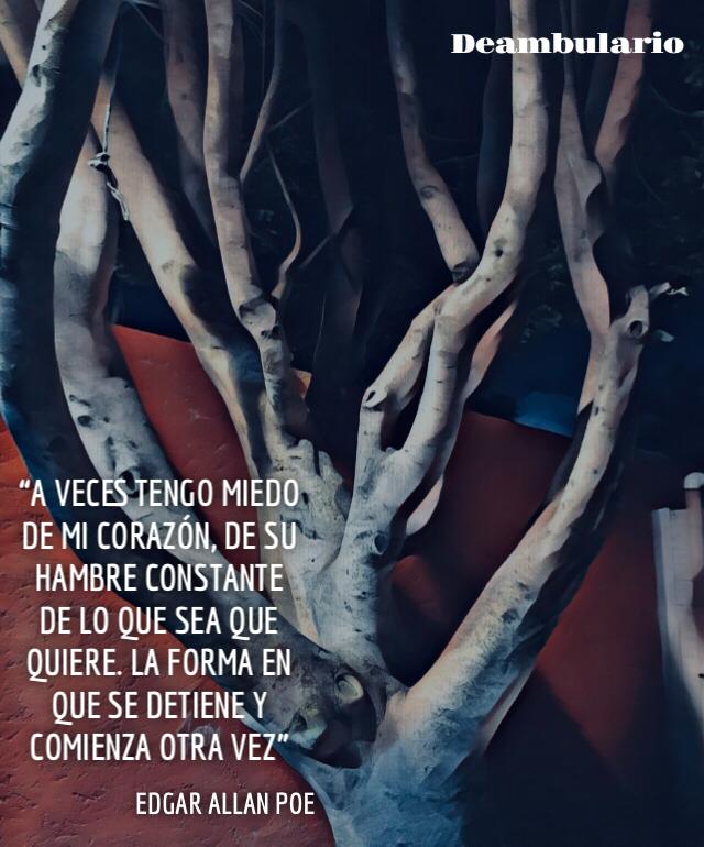 Deambulario's tweet photo. Hoy se cumplen 212 años del nacimiento de Edgar Allan Poe, el poeta, escritor, crítico y periodista que nos recuerda que el terror es parte de nuestra condición. #Simboletrilla https://t.co/oXMmFWZuP9