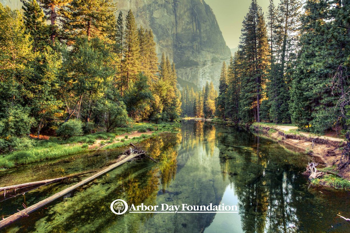 arborday's tweet image. Our goals are big. By 2022 — the 150th anniversary of Arbor Day — we plan to: 
🌳Plant 100 million trees
🌳Inspire 5 million tree planters
RT if you believe the #TimeforTrees is NOW.

timefortrees.org