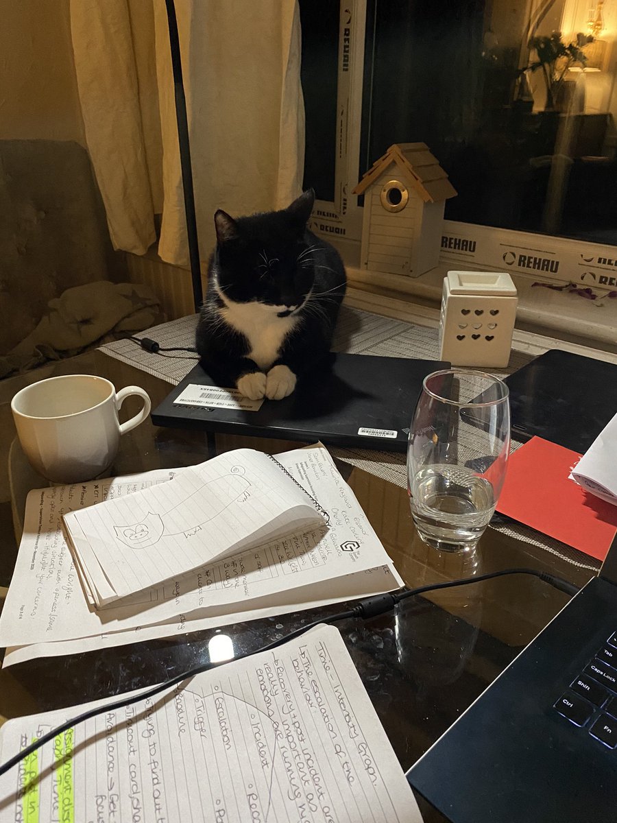 Hannah Marchbank tweet media