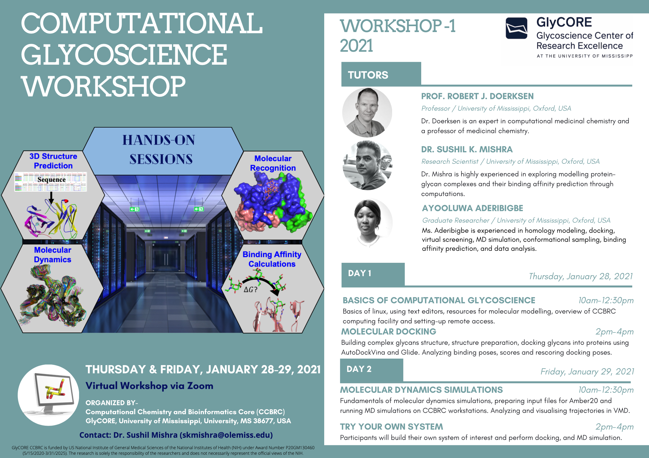 Brochure:  The Computational Chemistry and Bioinformatics Core (CCBRC) of GlyCORE is pleased to announce a Hands-on Computational Glycoscience Workshop on Jan 28-29, 2021. This two day workshop is intended to give beginners an introduction to Linux and hands on molecular modeling of protein-glycan interactions through computations. Attendees will leave with a working knowledge of docking glycans, performing MD simulation of glycoproteins and protein-glycan complexes using CCBRC workstations.

Due to COVID-19, this workshop will be remote, using Zoom. You can find all the details in the attached flyer.  No registration fee, but registration is required at the following link: https://forms.gle/ZdwL9Twp6LEZaeR86.  Address any questions to Dr. Sushil Mishra at skmishra@olemiss.edu.
