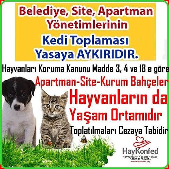 CeylanAydas's tweet photo. #HayvanaSiddetSuctur #HayvanHaklarıYasasıHemen #hayvankoruma #HayvanlarınSesiOl https://t.co/5YlEEHZtcW