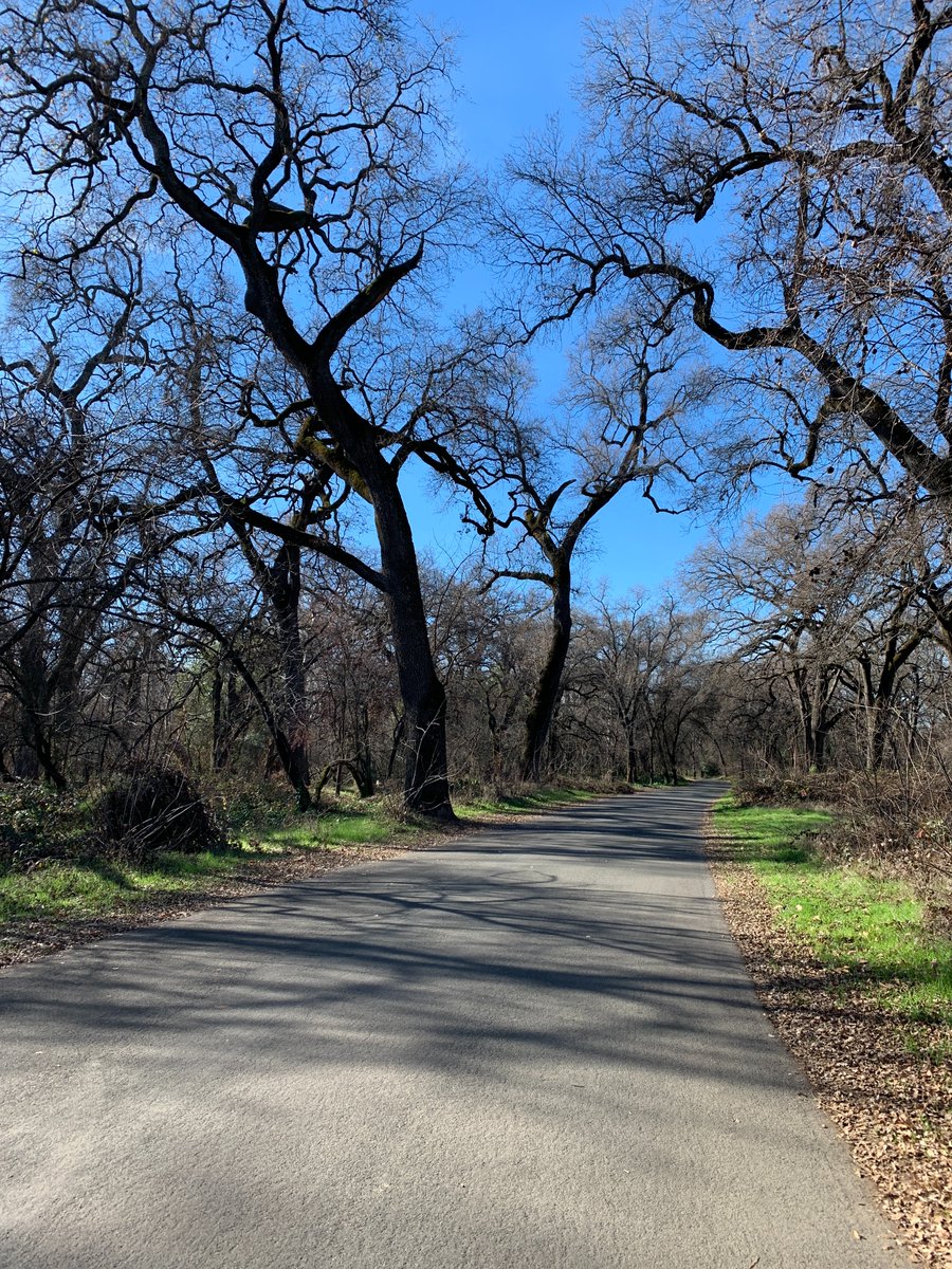 ChicoCityof's tweet photo. Public Works, together with @CAConservCorps, will be cleaning up vegetation in Lower Bidwell over the next 2 weeks. Work starts today and will happen between 8am and 4pm daily, starting at the Petersen Drive entrance and continuing to One Mile. https://t.co/wSw7iHdHT1