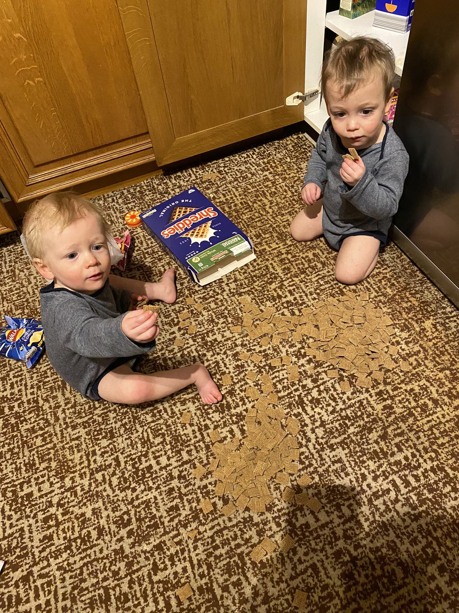 DesignerSmith's tweet image. About sums up our day! 🤦‍♀️🤪🙄 Can’t wait for this old kitchen and 80’s carpet to be ripped out! #lockdownlife #twinmum #tagteam #renovations