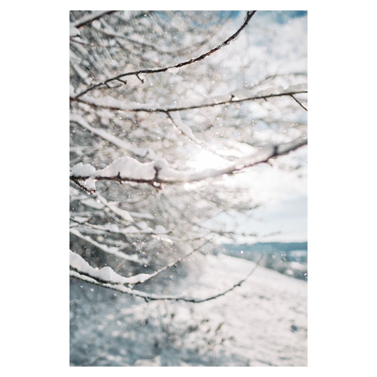 Ludovic Andr (@bkill) / Posts / X