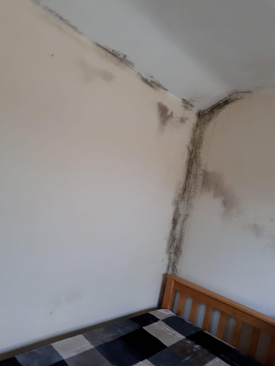 Under our current housing system public money is given to private landlords for this. Family in Derry placed in three private properties since October 2020 by @nihecommunity Here’s the latest - a baby was born in these circumstances. Time for change: nlb.ie/campaigns/righ…
