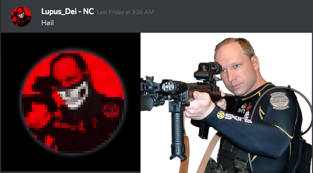 4/ As "Lupus_Dei-NC" Vince Salvadalena used an altered image of neo-Nazi murderer Anders Breivik wearing a skull mask as his avatar. He collected and disseminated personal information on dozens of antiracists as revenge for blowback following the "Unite the Right" rally in 2017.