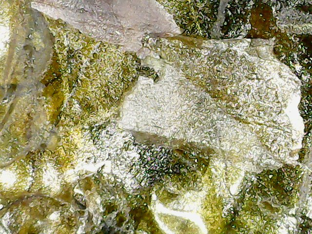 ExploraNM's tweet photo. It's time once again for an Explora #closeup! This week's item is a root-less algae that can be found in the sea! Some types of this item are even edible! Any clue what it could be? Leave a guess and check back at 5 pm for the reveal! #HowWeExplora #STEAM #ExploraNM #STEMatHome https://t.co/E5pFJckHkg