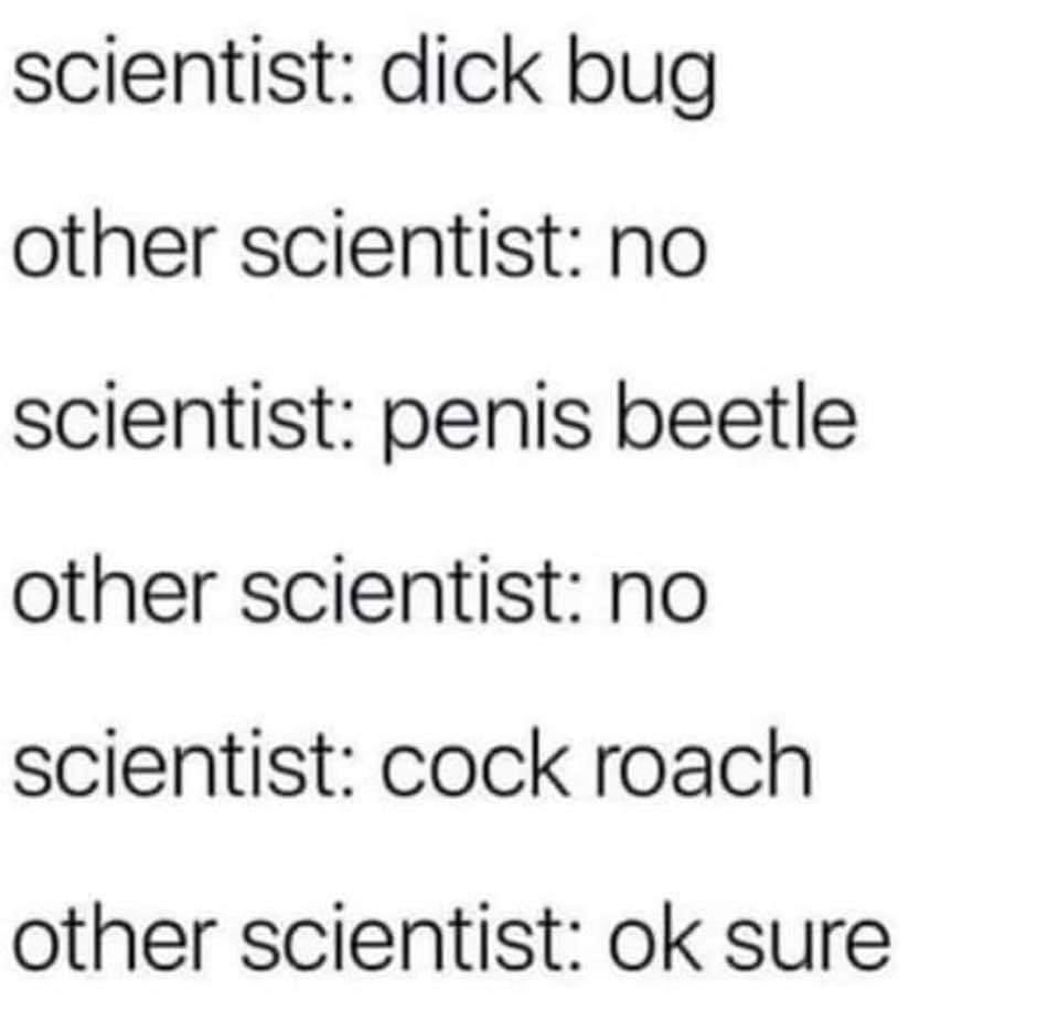 The_Zombie_Mama's tweet photo. This made me laugh like a 10 year old. πππ
#ILoveBugs #BugsRule https://t.co/FWQANs1SBO